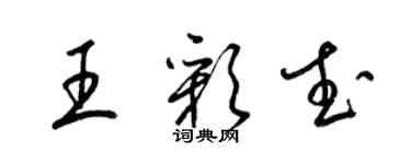 梁錦英王彩武草書個性簽名怎么寫