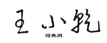 駱恆光王小乾草書個性簽名怎么寫