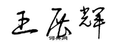 曾慶福王展輝草書個性簽名怎么寫