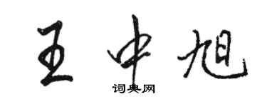 駱恆光王中旭行書個性簽名怎么寫