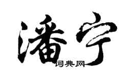 胡問遂潘寧行書個性簽名怎么寫