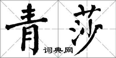 翁闓運青莎楷書怎么寫