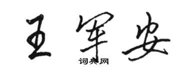 駱恆光王軍安行書個性簽名怎么寫