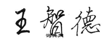 駱恆光王智德行書個性簽名怎么寫