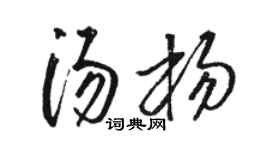 駱恆光湯楊草書個性簽名怎么寫