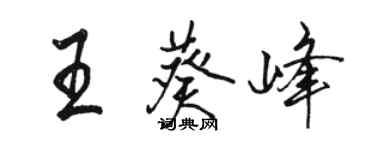 駱恆光王葵峰行書個性簽名怎么寫