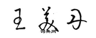 駱恆光王美丹草書個性簽名怎么寫