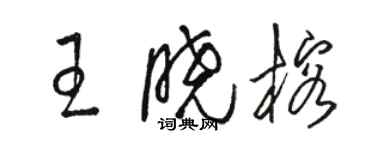 駱恆光王曉榕草書個性簽名怎么寫