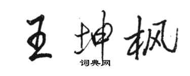 駱恆光王坤楓行書個性簽名怎么寫