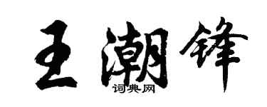 胡問遂王潮鋒行書個性簽名怎么寫
