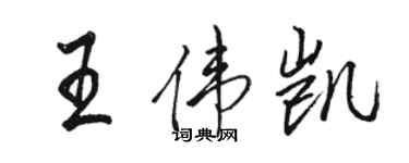 駱恆光王偉凱行書個性簽名怎么寫