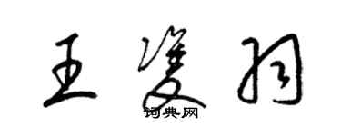 梁錦英王雙羽草書個性簽名怎么寫