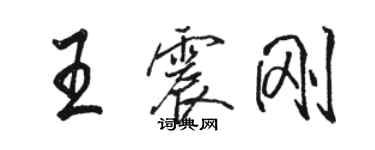 駱恆光王震剛行書個性簽名怎么寫