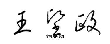 梁錦英王堅政草書個性簽名怎么寫