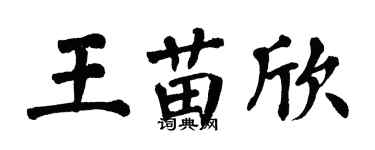 翁闓運王苗欣楷書個性簽名怎么寫