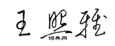 駱恆光王照雅草書個性簽名怎么寫