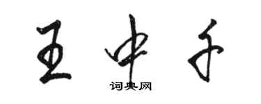 駱恆光王中千行書個性簽名怎么寫