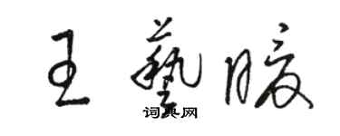 駱恆光王藝暖草書個性簽名怎么寫