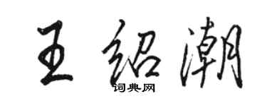 駱恆光王紹潮行書個性簽名怎么寫