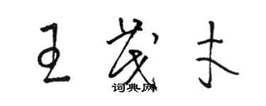 駱恆光王茂才草書個性簽名怎么寫