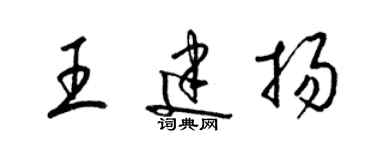 梁錦英王建揚草書個性簽名怎么寫