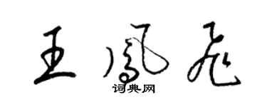 梁錦英王鳳飛草書個性簽名怎么寫