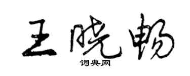 曾慶福王曉暢行書個性簽名怎么寫