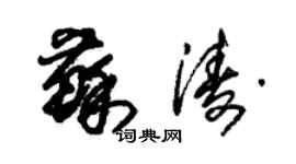 朱錫榮蘇濤草書個性簽名怎么寫