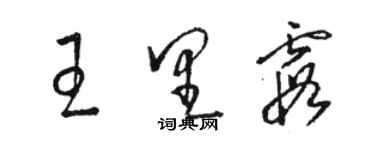 駱恆光王里霞草書個性簽名怎么寫