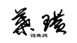 朱錫榮葉璜草書個性簽名怎么寫