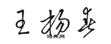駱恆光王楊春草書個性簽名怎么寫
