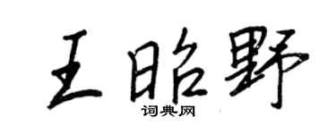 王正良王昭野行書個性簽名怎么寫