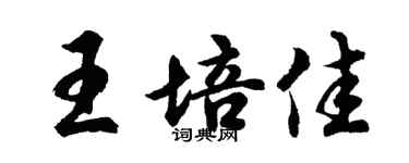 胡問遂王培佳行書個性簽名怎么寫