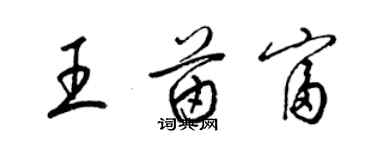 梁錦英王苗富草書個性簽名怎么寫