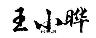 胡問遂王小曄行書個性簽名怎么寫