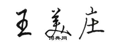 駱恆光王美莊行書個性簽名怎么寫