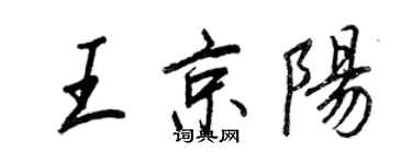 王正良王京陽行書個性簽名怎么寫