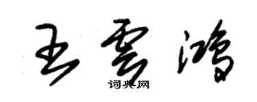 朱錫榮王雲鴻草書個性簽名怎么寫