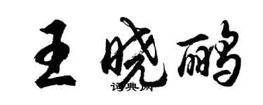 胡問遂王曉鸝行書個性簽名怎么寫