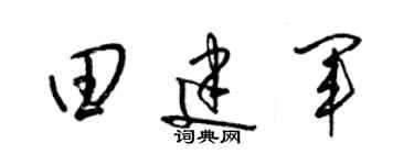 梁錦英田建軍草書個性簽名怎么寫