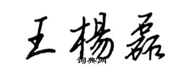 王正良王楊磊行書個性簽名怎么寫