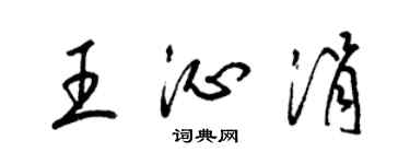 梁錦英王沁涓草書個性簽名怎么寫