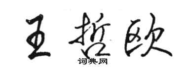 駱恆光王哲歐行書個性簽名怎么寫