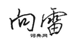 駱恆光向雷行書個性簽名怎么寫