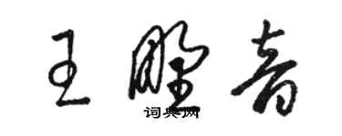 駱恆光王野音草書個性簽名怎么寫