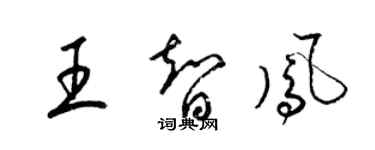 梁錦英王智鳳草書個性簽名怎么寫