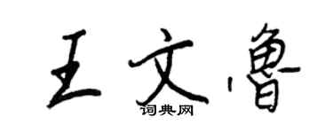 王正良王文魯行書個性簽名怎么寫