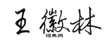 駱恆光王徽林行書個性簽名怎么寫