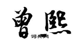 胡問遂曾熙行書個性簽名怎么寫
