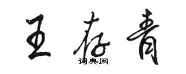 駱恆光王存青行書個性簽名怎么寫